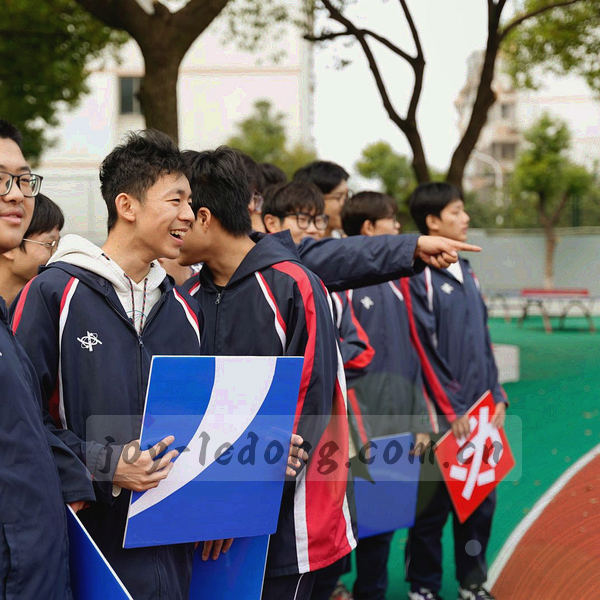 抽象线条连接手机屏幕与球场，象征数据将球迷与比赛紧密相连